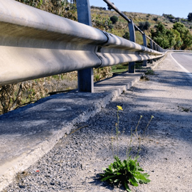 Highway Style Guardrail